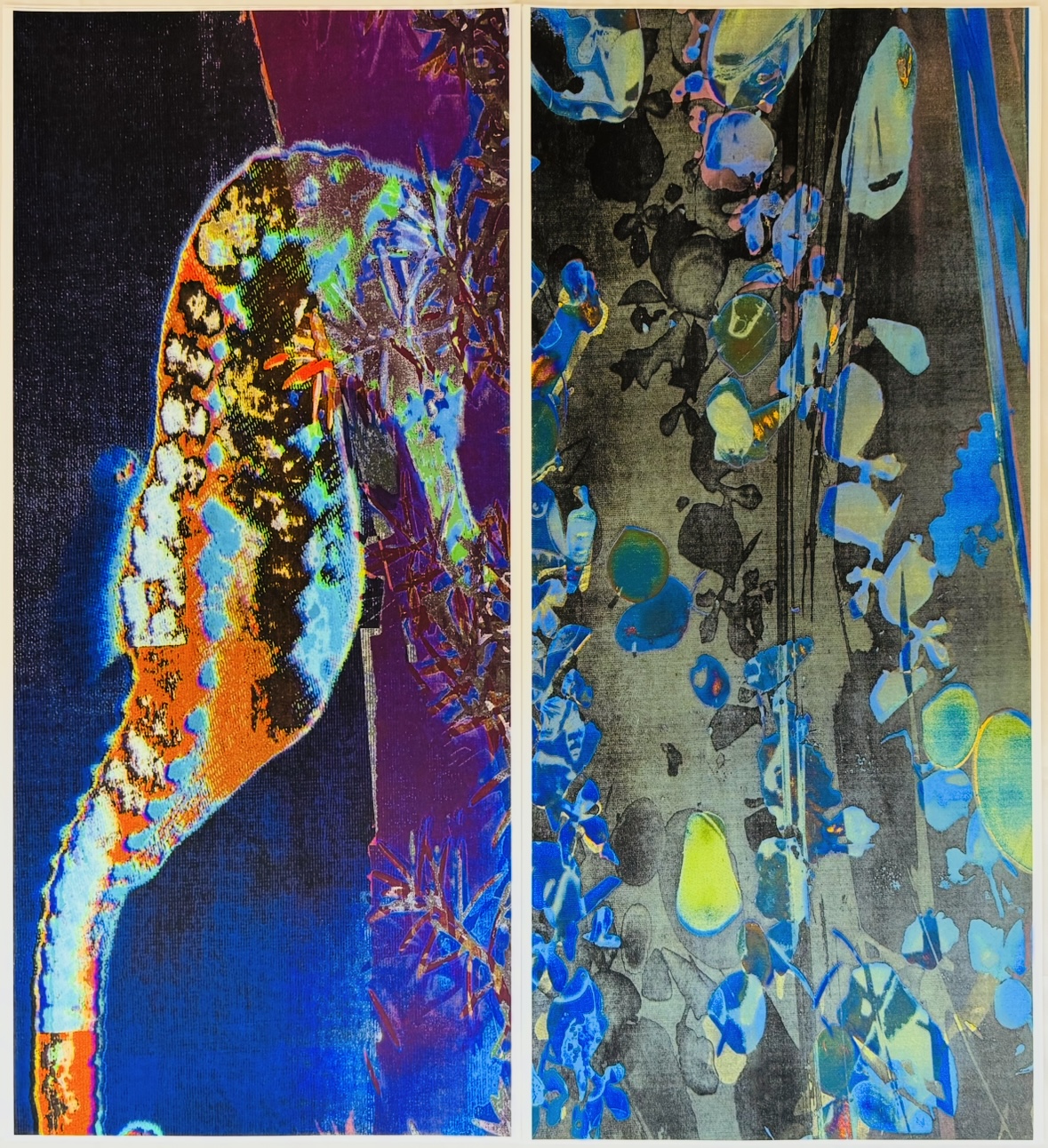DOU 1, Duo-Mono-Photo-Print von Lesley Schiff